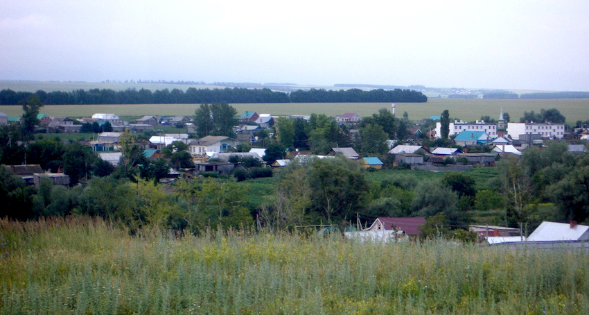 село Старый Дрюш